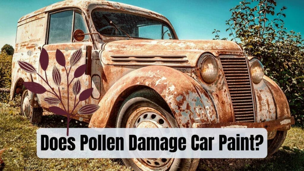 Photo of an old car with rusted paint and a drawing of a plant releasing polen. Does pollen damage car paint?