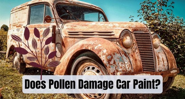 Does Pollen Damage Car Paint