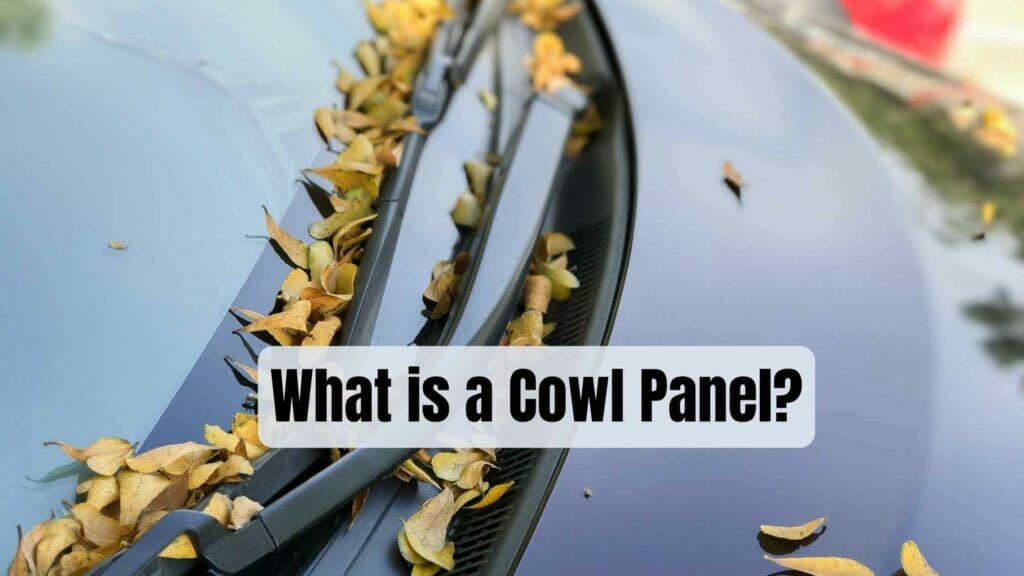 Photo of a car cowl full of yellow leaves. What is a Cowl Panel?